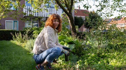 Tuinier werkt in een groene tuin bij woningen